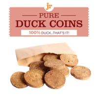 JR Pet Duck Coin