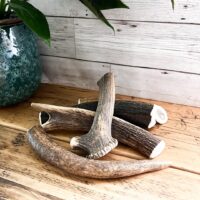 Highland Deer Antler