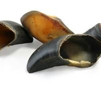 Empty Hoof