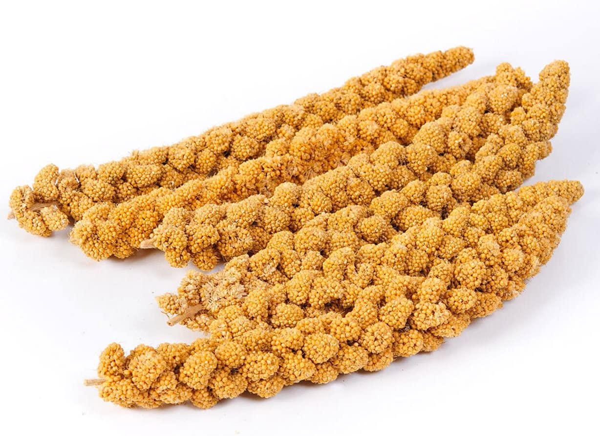 Millet Spray 300g
